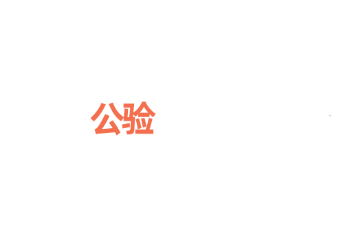 公验