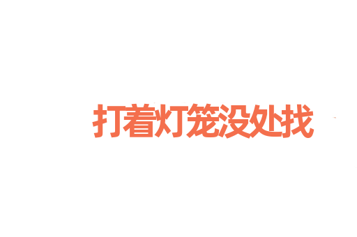 打着灯笼没处找