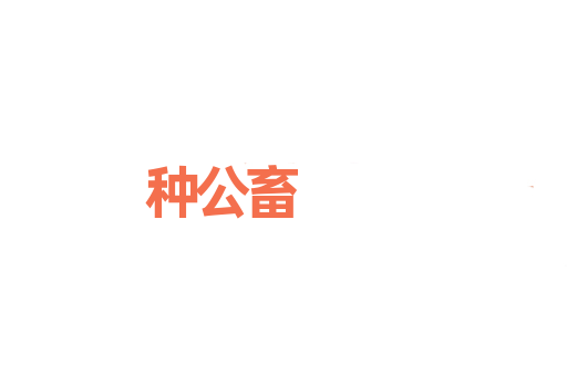 种公畜